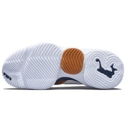 Nike LeBron 16 - Design Actuel Performant